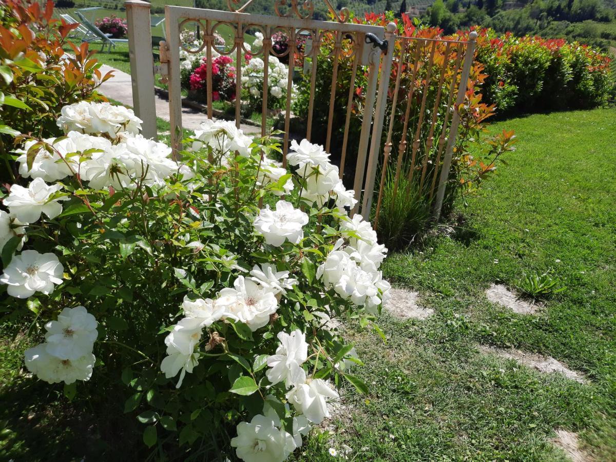 Villa Del Sole San Gimignano Ngoại thất bức ảnh