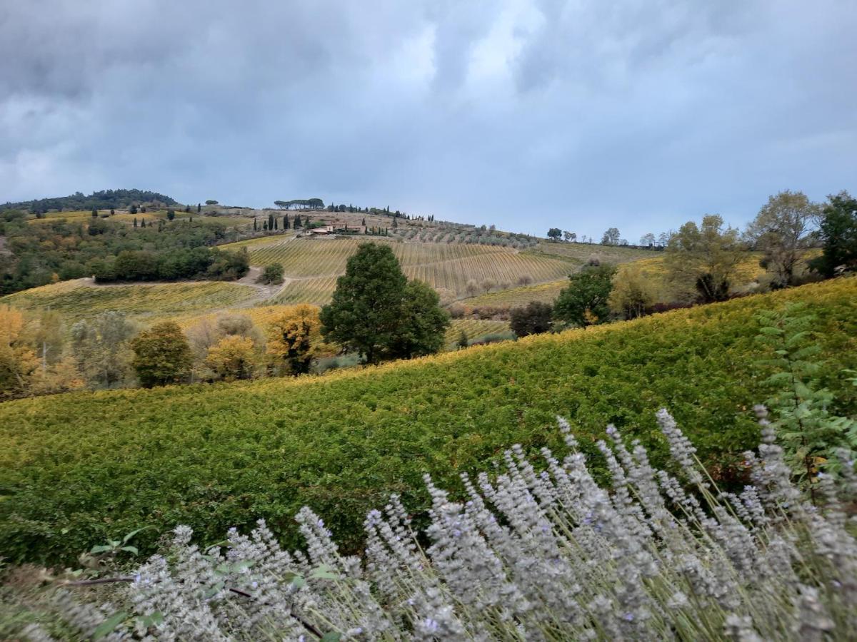 Villa Del Sole San Gimignano Ngoại thất bức ảnh