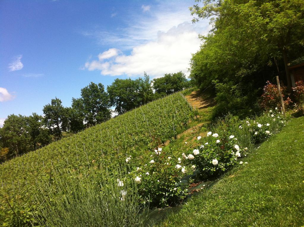 Villa Del Sole San Gimignano Ngoại thất bức ảnh