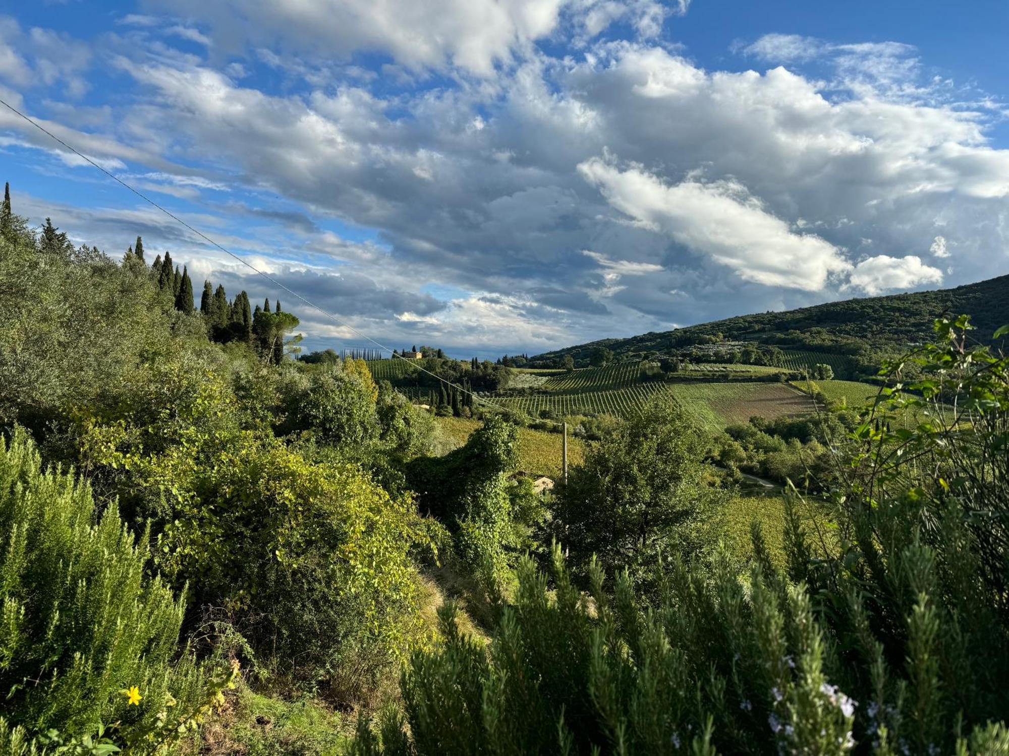 Villa Del Sole San Gimignano Ngoại thất bức ảnh