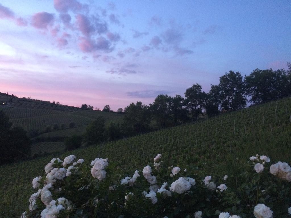 Villa Del Sole San Gimignano Ngoại thất bức ảnh